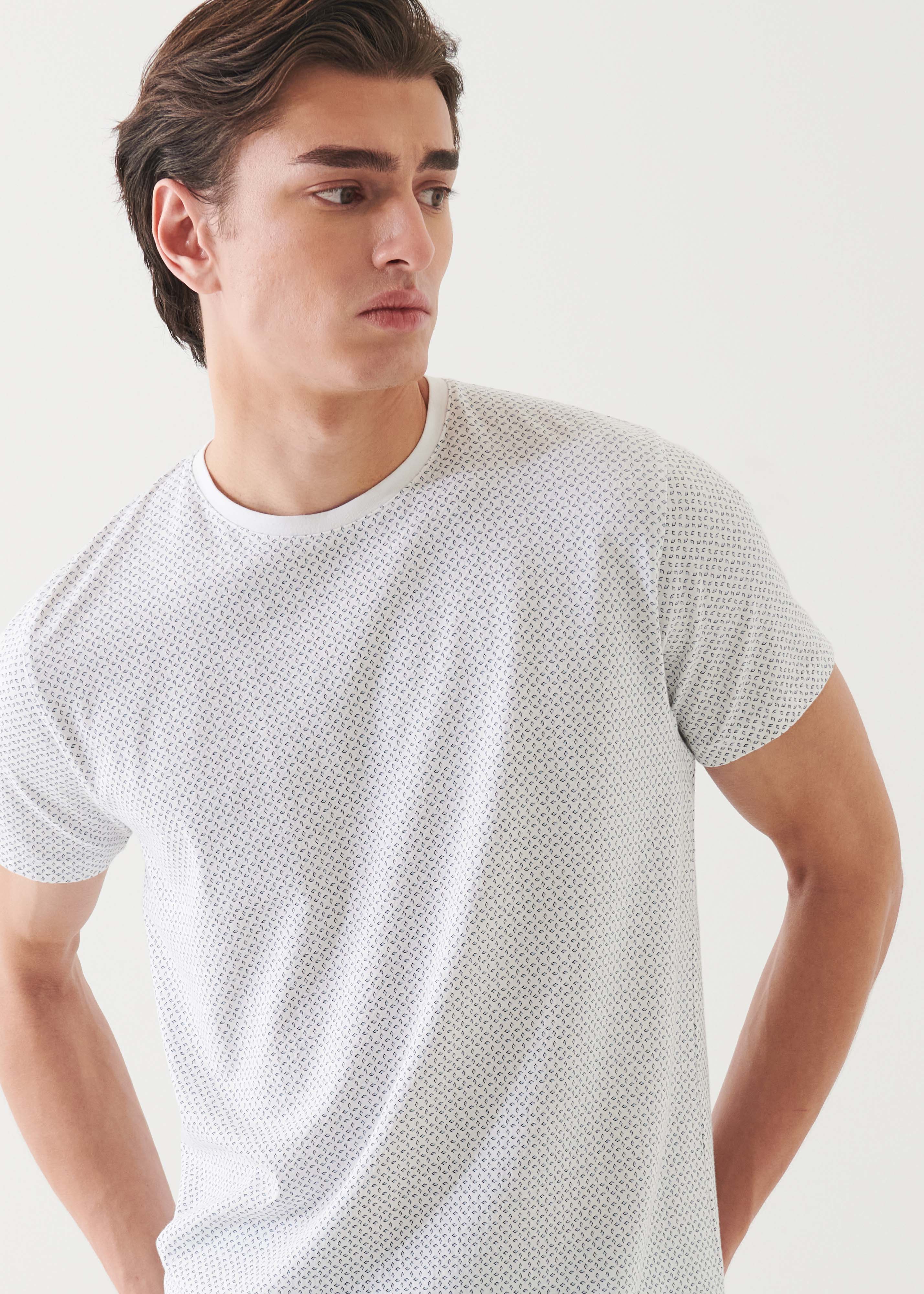 Pima Cotton Stretch Printed Crewneck - PATRICK ASSARAF
